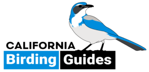 California Birding Guides